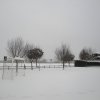 la grande nevicata del febbraio 2012 151